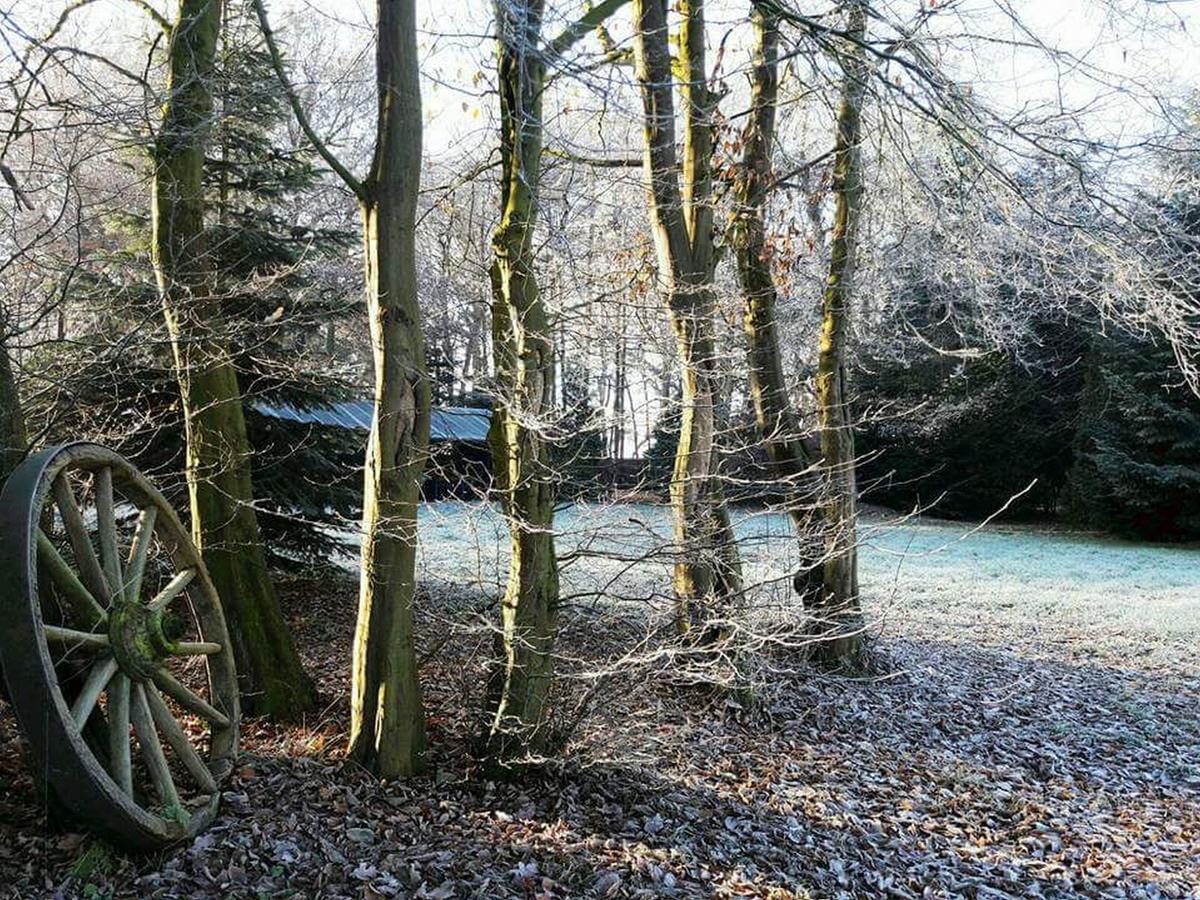 Zur Schanze Holtgast-Apen Extérieur photo